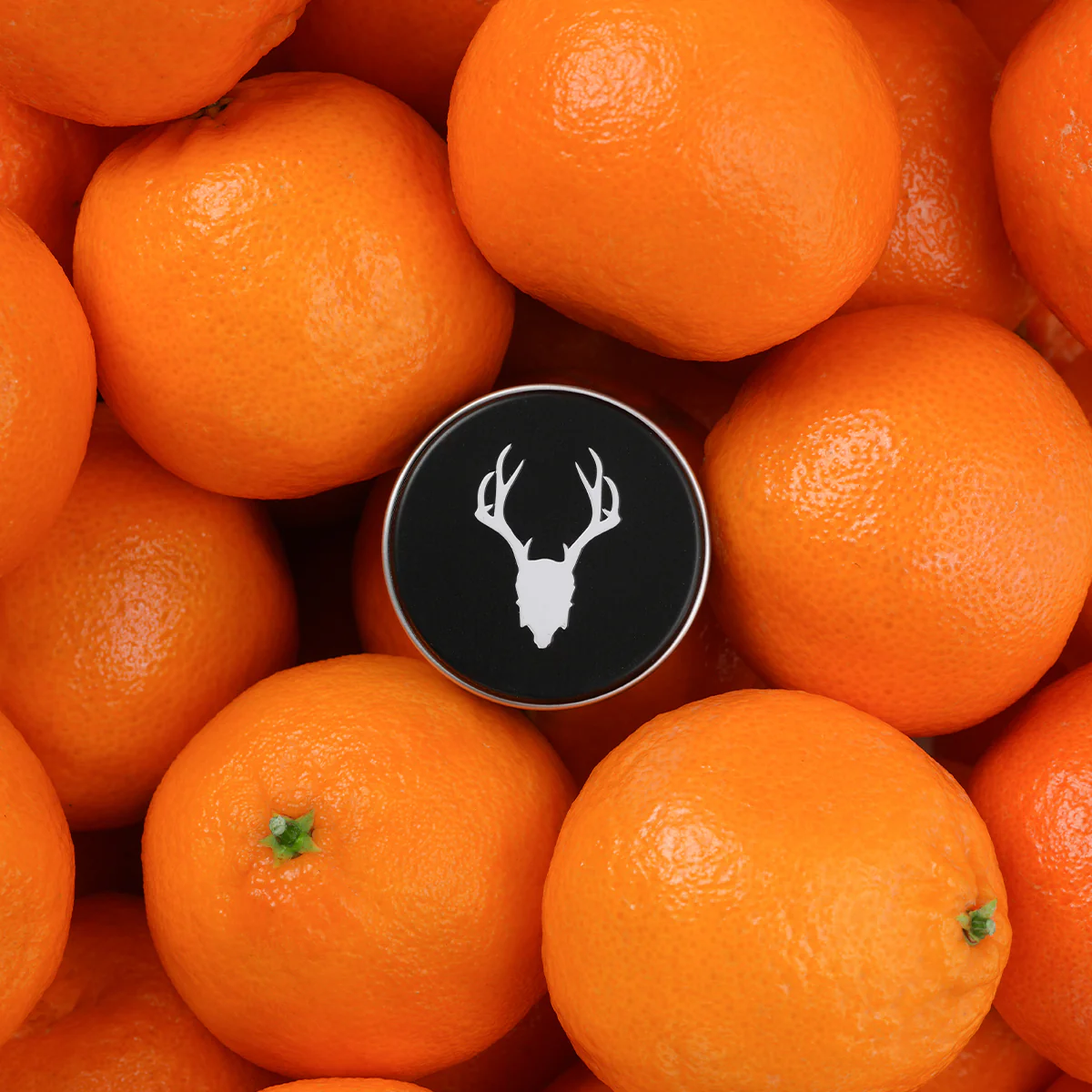 Tangerine Vanilla Tattoo Balm Salve - Image 5